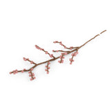 Dekorativer Zweig mit rosa Beeren