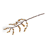 Decorative Branch with Yellow Berries