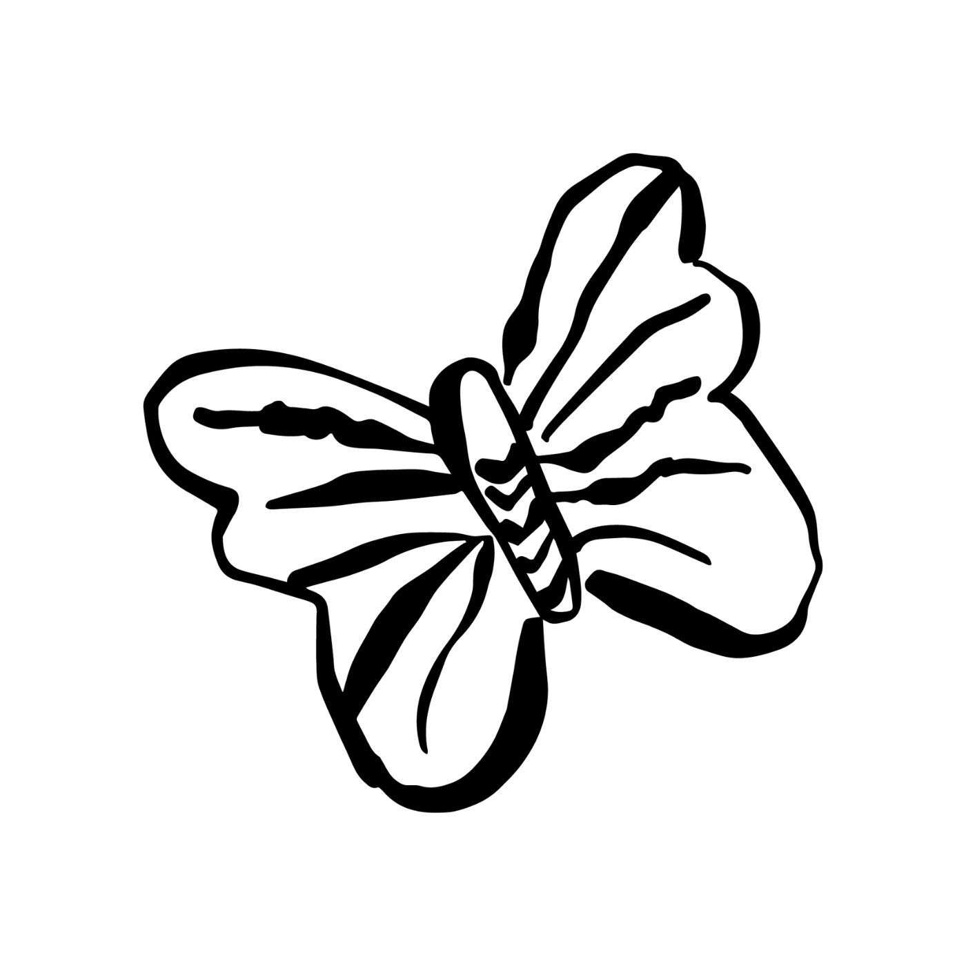 Bild verschieben